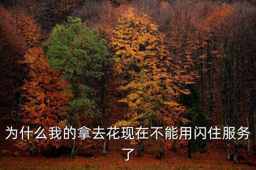 為什么我的拿去花現(xiàn)在不能用閃住服務了