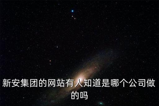 新安股份做什么的，新安集團的網(wǎng)站有人知道是哪個公司做的嗎