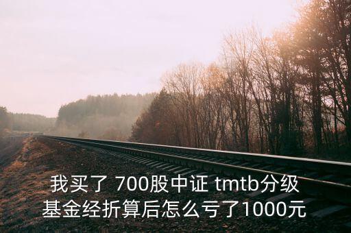 tmtb基金是什么股票，我買了 700股中證 tmtb分級基金經(jīng)折算后怎么虧了1000元