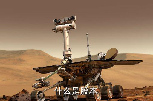 股票股本是什么意思，股本的概念