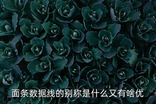skewrons是什么牌子，skewrons是什么意思