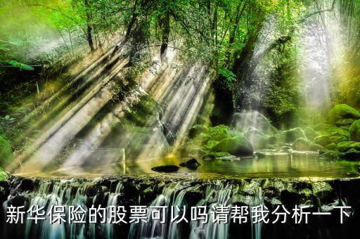 新華保險(xiǎn)為什么股票漲這么多，新華保險(xiǎn)的股票可以嗎請(qǐng)幫我分析一下