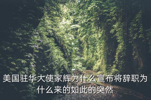 美國(guó)駐華大使家輝為什么宣布將辭職為什么來(lái)的如此的突然