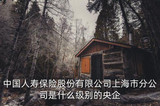 市屬國企是什么級別，省屬和市屬企業(yè)的界定標(biāo)準(zhǔn)是什么