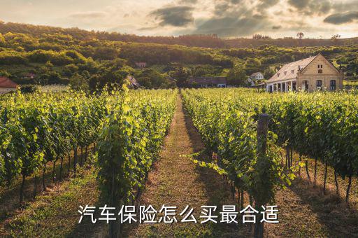 車險應(yīng)該怎么保,3.車輛人員責任險是車輛商業(yè)保險主要險種