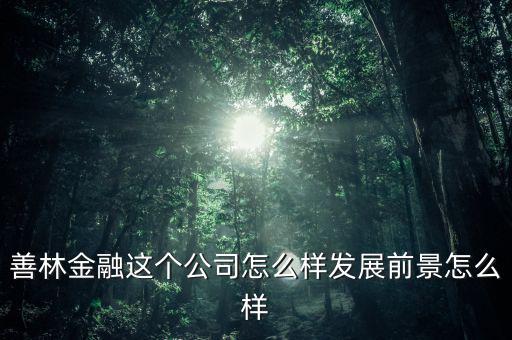 善林公司經(jīng)營(yíng)什么，善林金融這個(gè)公司怎么樣發(fā)展前景怎么樣