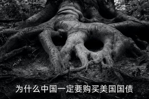 中國為什么買美國的國債，中國為什么要買那么多美國國債能不能說得通俗一點(diǎn)我不太懂經(jīng)濟(jì)