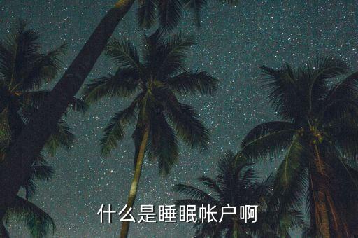 什么是睡眠賬戶，什么是睡眠帳戶啊