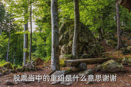 什么是重組，重組在電腦術(shù)語(yǔ)中什么意思