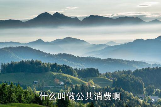 什么是公共消費，什么叫做公共消費啊