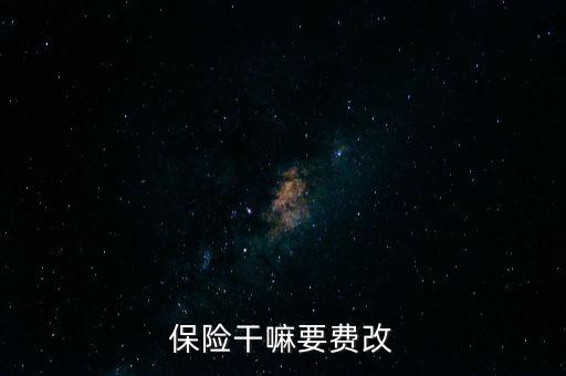 保險干嘛要費(fèi)改