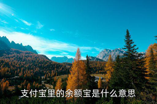 支付寶余額寶是什么，支付寶里的余額寶是什么意思