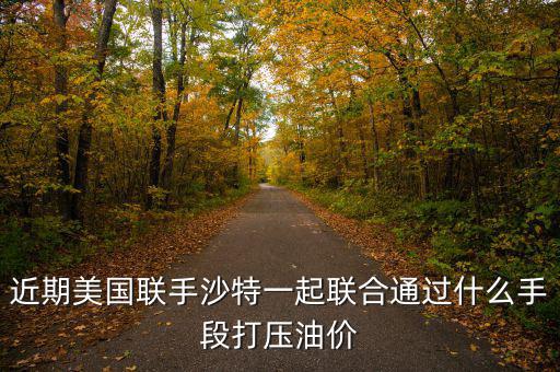 近期美國(guó)聯(lián)手沙特一起聯(lián)合通過(guò)什么手段打壓油價(jià)