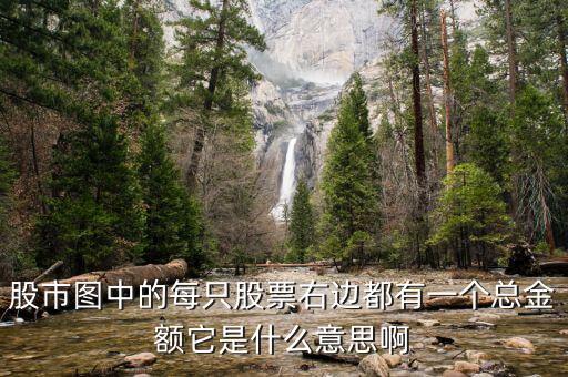 股市圖每只股票的總量是什么意思，股票總量是什么意思
