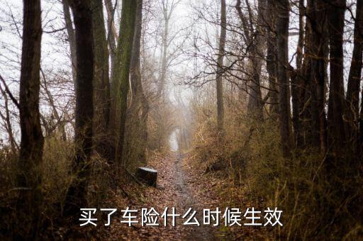 買了車險什么時候生效