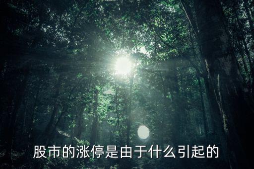 股票漲停跟什么有關(guān)系，股票開盤就漲停受什么因素影響能否具體回答