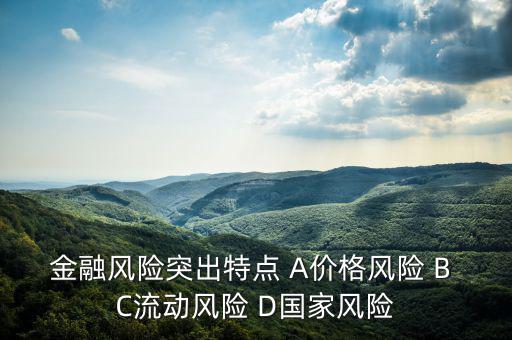 金融風險有什么特征，試述國際金融風險的特征