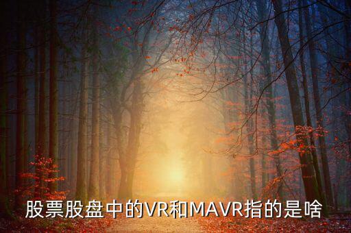 vr股是什么，股票股盤(pán)中的VR和MAVR指的是啥