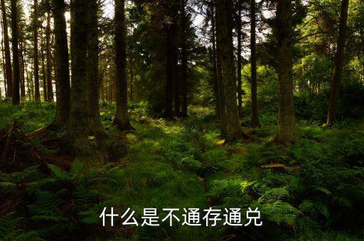 不通存通兌是什么意思，什么是不通存通兌