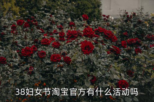 三八婦女節(jié)各個電商有什么活動，淘寶店在三八節(jié)可以搞些什么活動