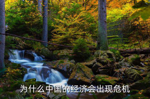 為什么中國(guó)將發(fā)生經(jīng)濟(jì)危機(jī)，中國(guó)為什么會(huì)面臨經(jīng)濟(jì)危機(jī)