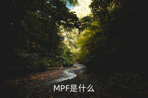 mpf是什么費(fèi)用，網(wǎng)購中的EMS費(fèi)用是什么費(fèi)用