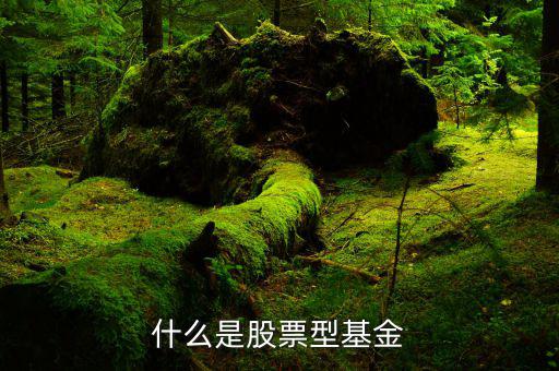 什么是權(quán)重股票基金，什么是股票型基金
