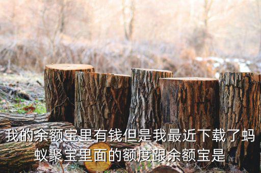 有什么軟件像存金寶那樣的，類似支付寶的理財產(chǎn)品有哪些
