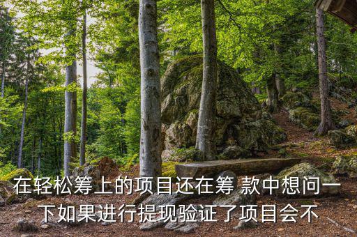 輕松籌提現(xiàn)有什么審核，輕松籌審核條件