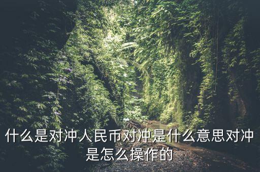 什么是基金a基金b對沖，什么是對沖人民幣對沖是什么意思對沖是怎么操作的
