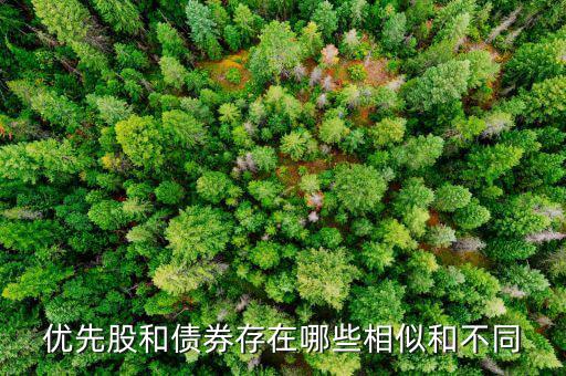 境外優(yōu)先股是什么，優(yōu)先股試點是什么說的詳細點