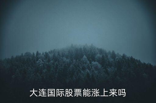 大連國際什么時候漲，大連國際股票能漲上來嗎