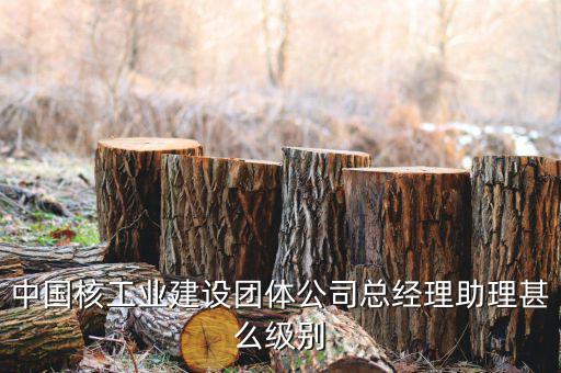 中國核工業(yè)集團什么級別，中國核工業(yè)建設(shè)團體公司總經(jīng)理助理甚么級別