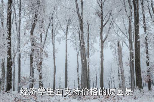 經(jīng)濟學里面支持價格的原因是