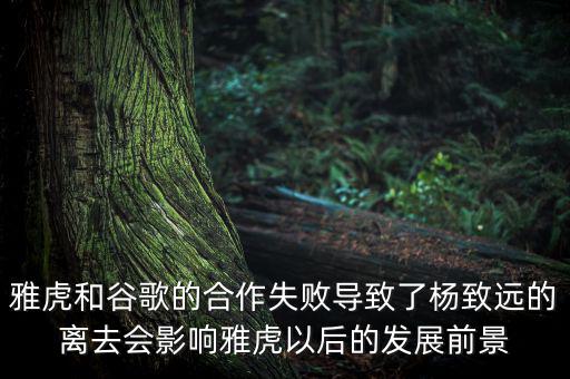 雅虎和谷歌的合作失敗導致了楊致遠的離去會影響雅虎以后的發(fā)展前景
