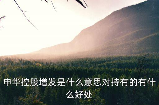 申華控股是什么板塊，申華控股怎么樣