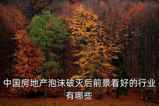 房地產(chǎn)泡沫后什么行業(yè)賺錢，如果真有一天中國(guó)房地產(chǎn)泡沫破了我們做點(diǎn)什么賺錢呢或者說(shuō)有