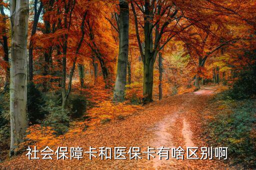 社會(huì)保障卡和醫(yī)?？ㄓ猩秴^(qū)別啊