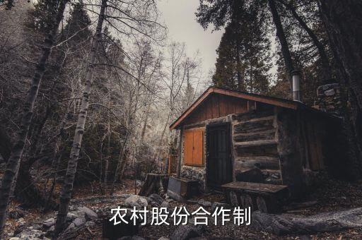 什么是農(nóng)民股份合作，什么叫農(nóng)村經(jīng)濟合作股份制