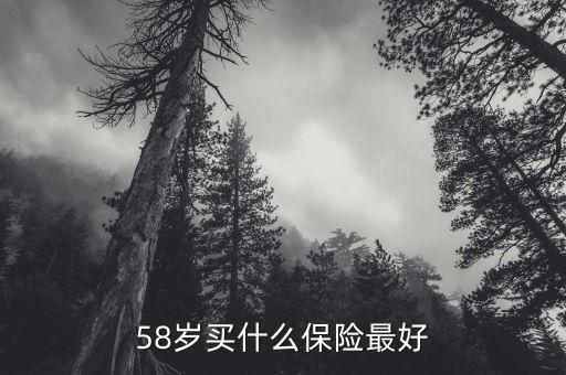 58歲女性做什么保險，58歲女性可以辦哪些保險啊