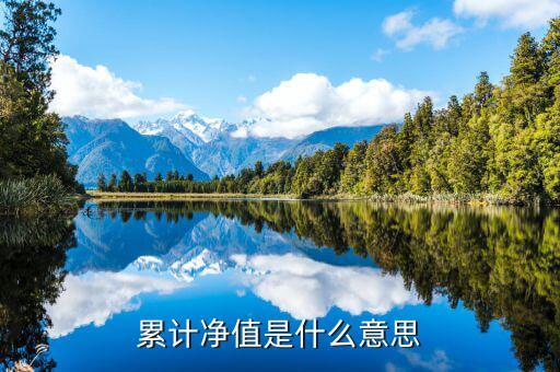 累計(jì)凈值是什么意思，累計(jì)凈值是什么意思