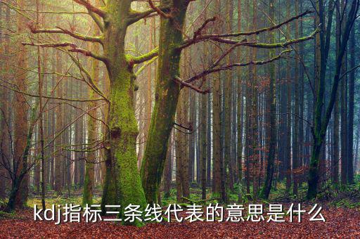 股票過頭是什么意思，關(guān)于股票的一些問題