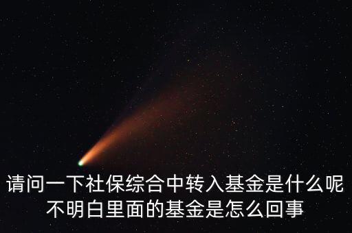 請問一下社保綜合中轉入基金是什么呢不明白里面的基金是怎么回事