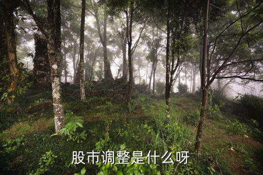 股市調整是什么意思，經(jīng)常有聽到股票調整是什么意思啊