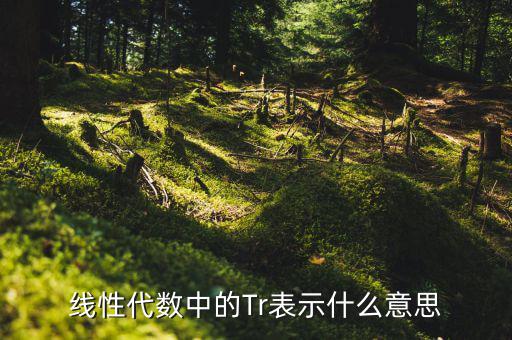 一陽穿四線說明什么，一陽穿四線成交增量的股票會(huì)漲嗎