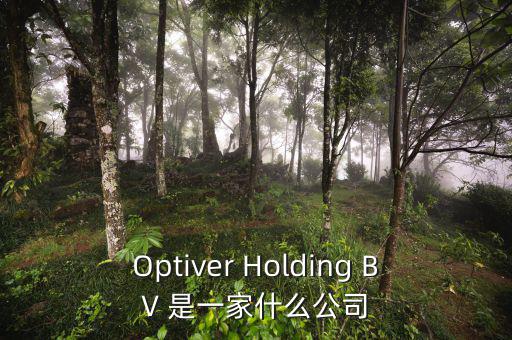 什么是nyme原油，Optiver Holding BV 是一家什么公司