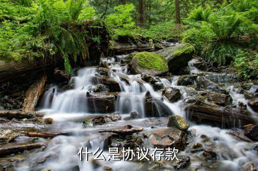 什么是銀行協(xié)議存款，什么是銀行協(xié)定存款