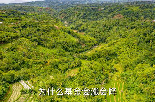 基金為什么會(huì)漲跌，基金有漲有落的原因