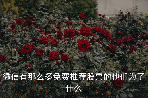 免費(fèi)股票為什么，微信有那么多免費(fèi)推薦股票的他們?yōu)榱耸裁?/></a></span><span id=