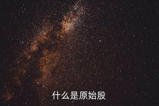 公司原始股是什么，什么是原始股怎樣買(mǎi)原始股